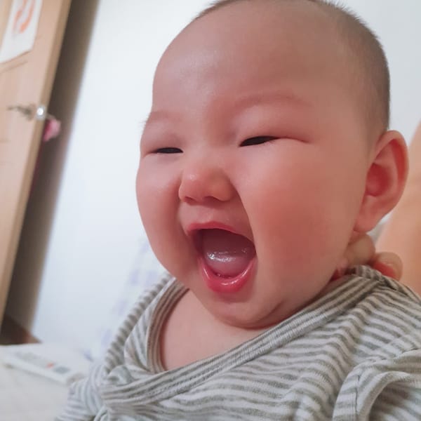 첫 글